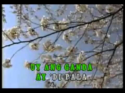 KARAOKE   Brownman Revival   Babaeng Uy! Ay!