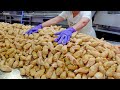How Vegetarian Chicken Drumsticks Are Made 素食蔬脆棒棒腿 Taiwanese Food
