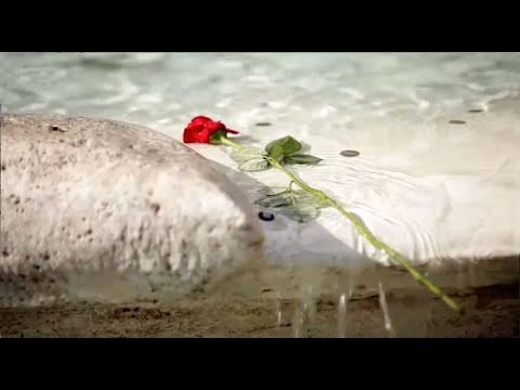 „Portrait von Ingeborg - Ähnlichkeiten mit Ingeborg Bachmann“