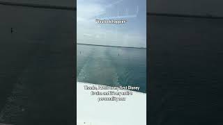 “You look happier…” 🚢✨#DisneyCruise