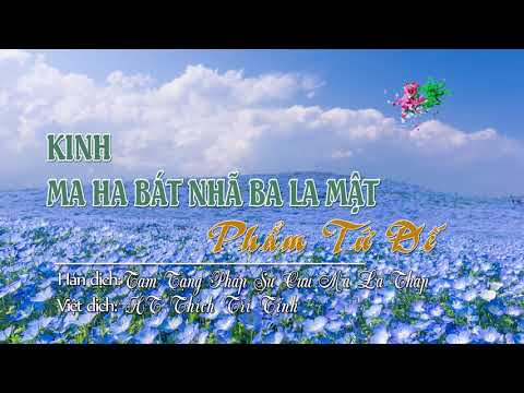 84. Phẩm Tứ Đế Thứ Tám Mươi Bốn