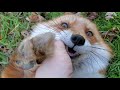 Dixie Let S Hear Your Best Laugh