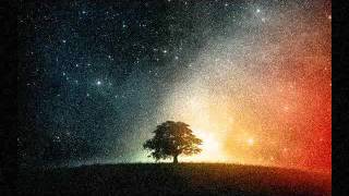 Marillion - Winter Trees