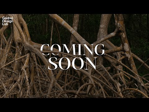 Teaser | The Last Frontier: An Ode to the Resilient Mangroves