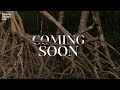 Teaser The Last Frontier An Ode To The Resilient Mangroves