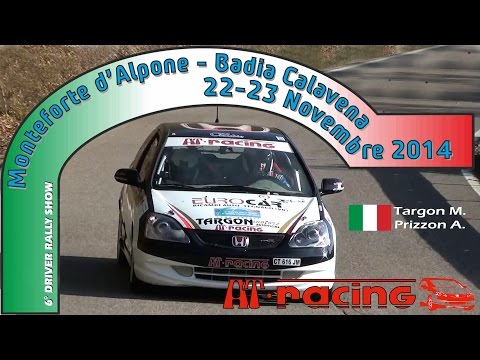 6° DRIVER RALLY SHOW - M.Targon & A.Prizzon #41 - 2014