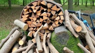 Finally sorted out all the walnut branches for firewood