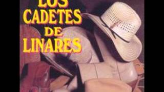 Los Cadetes De Linares - El Carrito (Epicenter Bass, Bass).wmv