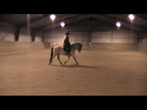 Lundemarksgårds Solist