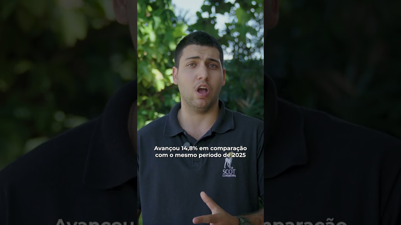 Exportação de carne bovina