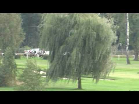 KV, 28. 9. 2016, 6. dostih - Cena Jockey Clubu ČR