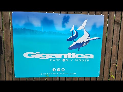 Gigantica main lake 7/6/2025