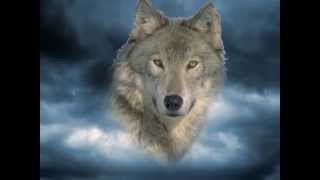 Cactus-'Song for Aries'-1971