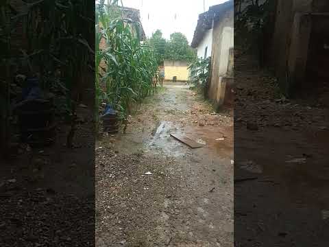 Chuva Em Rio    Maria Pará 