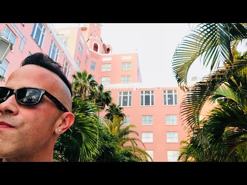 image-What is the history of the Pink Palace Hotel?