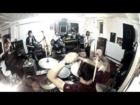 THE WAKE WOODS - Have Love Will Travel (The Sonics Cover)