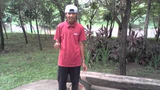 Download lagu Resha Stromp feat Reaggetarian - Sahabat mp3