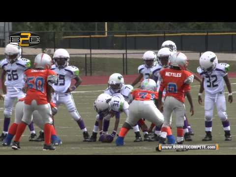 B2C: 8U Sandtown Vikings vs Jonesboro Gators