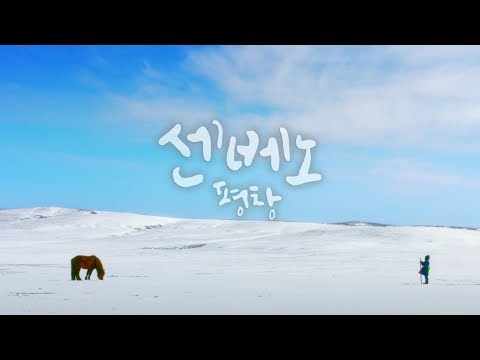 UHD다큐멘터리 "센베노,평창" 하이라이트 예고편