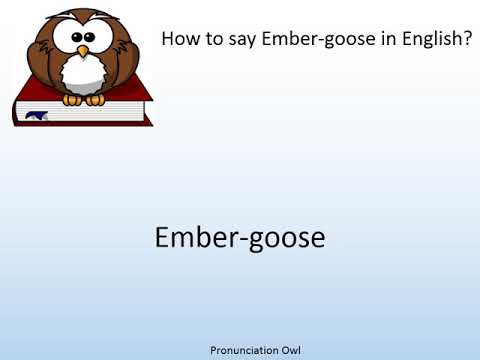 How to say Ember-goose in English? - Pronunciation Owl