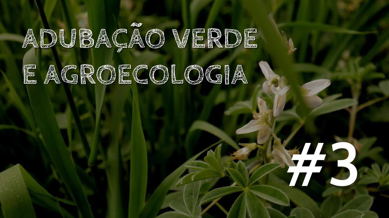 Adubação Verde e Agroecologia #3