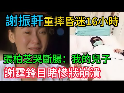 紅館噩夢成真！謝振軒重摔昏迷16小時！張柏芝哭斷腸：「我的兒子啊！」謝霆鋒目睹慘狀崩潰：「爸爸對不起你！」#謝霆鋒 #張柏芝 #謝振軒