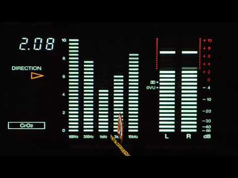 POOGIE MEETS ZEPPLIN