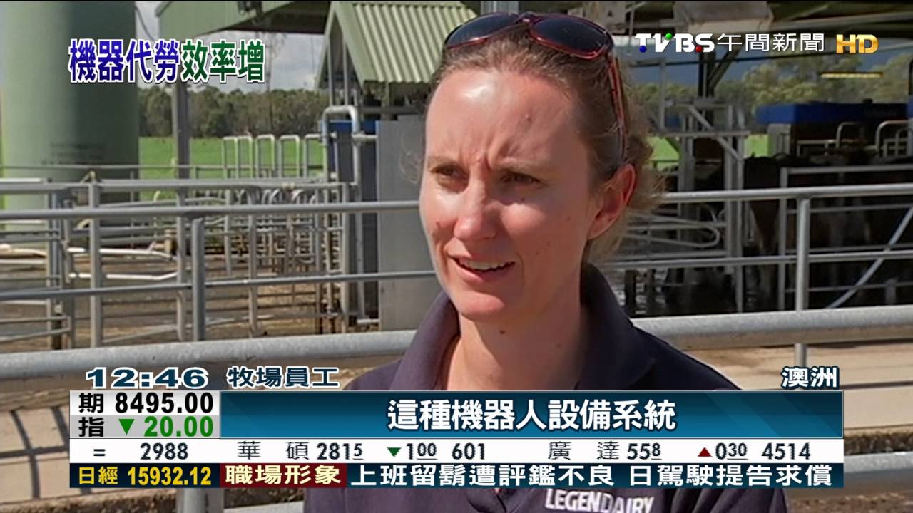 澳洲乳業鬧人力荒 業者引進全自動系統