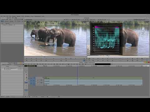 Speed Up Your Color Grading Workflow with BCC Videoscope