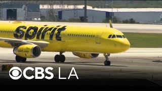 Spirit Airlines could stop operating this weekend after government bailout talks stall