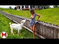 One in a Billion Animals Moments, Caught On Camera! DEFAULT Thumbnail