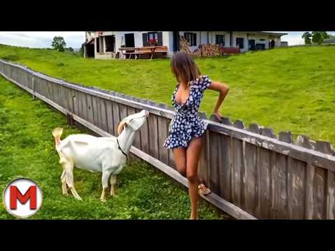 One in a Billion Animals Moments, Caught On Camera!