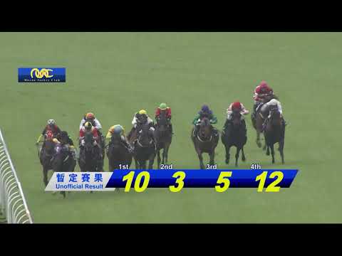 2023 07 30 Macau Meeting Race 2(0299) - THE BLUSHING GROOM