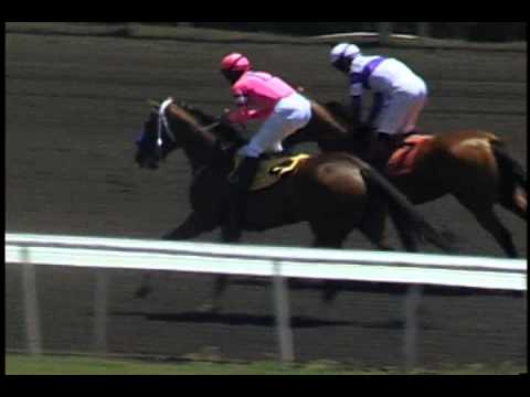 Straight From the Horse's Mouth: Stop Smiling