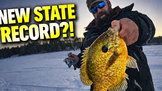 State Record Pumpkinseed Won’t Count… Here’s Why