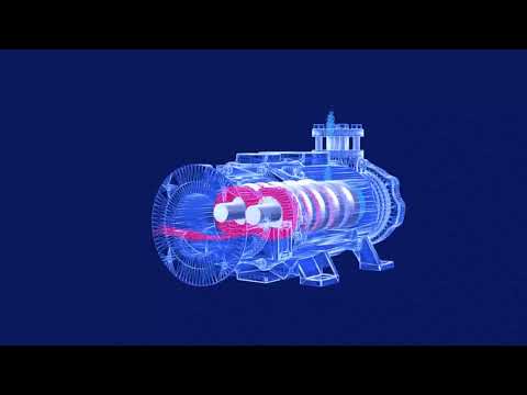 NASH Dry Screw Vacuum Pumps  - How It Works