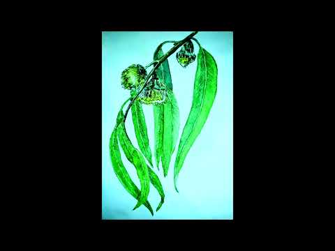 An die Trauerweide - von Otto Julius Bierbaum