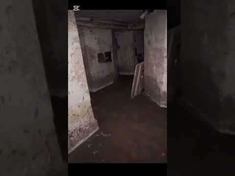 proyecto Abigail 👹🎥👹🎥👹 #espeluznante #miedo #aterrador #leyendas #demonios #paranormal