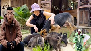 Download lagu Bo Learns to Earn and Care for Himself: Thuy Helps Tuan Take Care of the Farm Animals mp3 Download lagu Bo Learns to Earn and Care for Himself: Thuy Helps Tuan Take Care of the Farm Animals mp3