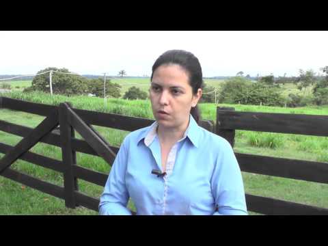 DOCUMENTÁRIO A REGULARIZAÇÃO AMBIENTAL E FUNDIÁRIA EM ALTA FLORESTA MT E A INTERFACE COM A GESTÃO DE