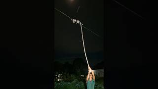 Download lagu Memancing lima burung di atas kawat #shortsviral #nature mp3 Download lagu Memancing lima burung di atas kawat #shortsviral #nature mp3