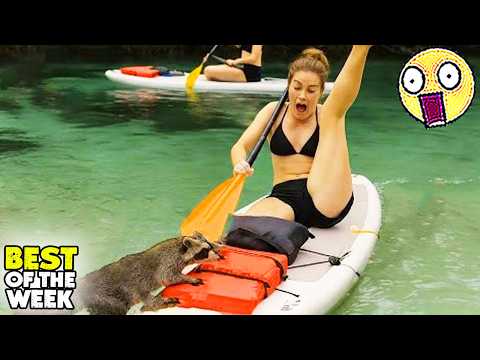 Try Not To Laugh 🤣 #11 | Instant Regret & Hilarious Moments | Best Of The Week