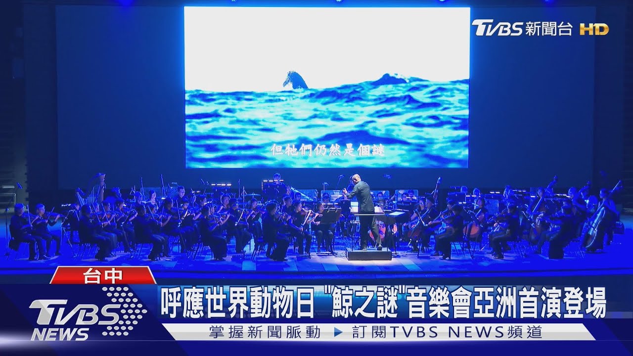 呼應世界動物日!「鯨之謎」音樂會亞洲首演登場