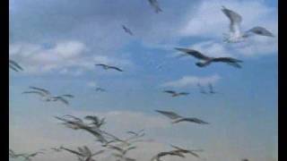 Madame Blavatsky Overdrive - Drowning Not Waving