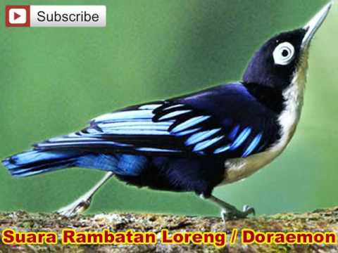 Rambatan Page 18 Kaskus