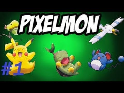 LittleLizard's Pixelmon Server Episode 1: STARYU PORT