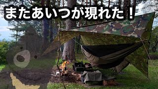 【Tempest 11' Zipper Camping Hammock】2週連続クマとエンカウント