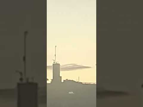 Powerpose FM # 1 - blommor