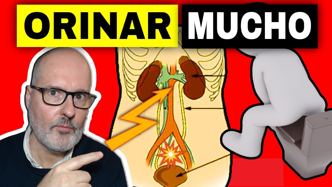 EXCESSIVE URINATION: WHY DO YOU URINATE A LOT or TOO FREQUENTLY? (and SOLUTIONS)