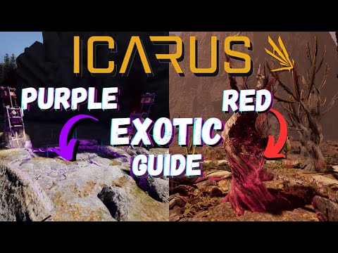This Exotics Guide Will Change Your ICARUS Game Forever! (Complete 2025 Guide)